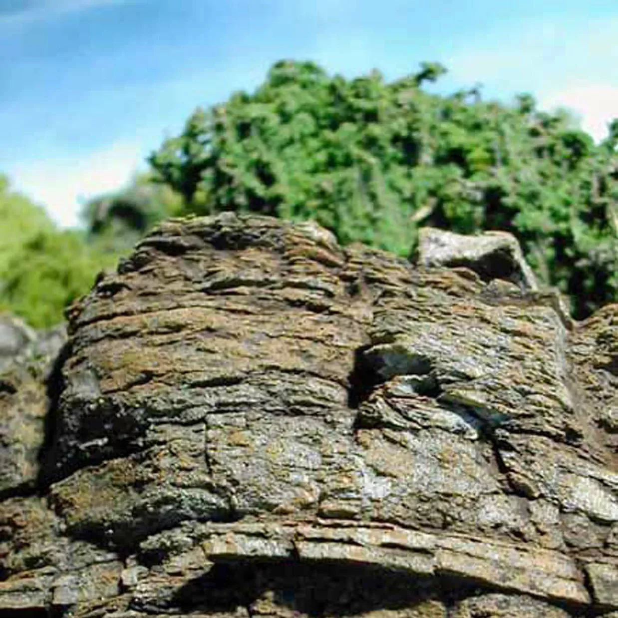 Micro-Mark MTP Moldable Thermoplastic Strips - Image 3